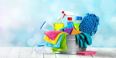 mint housekeeping services