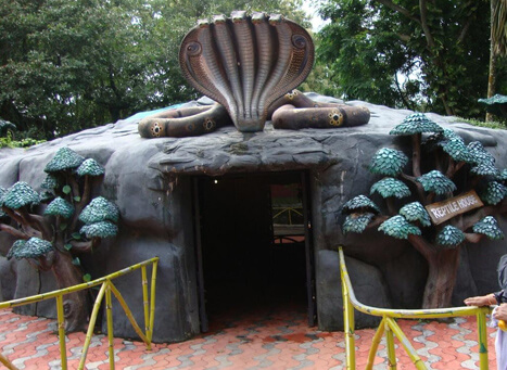 Inside of Thiruvananthapuram Zoo Trivandrum