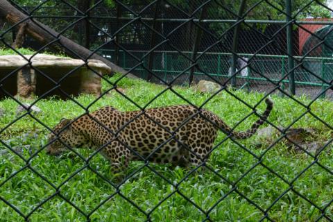 Thiruvananthapuram Zoo in TVM