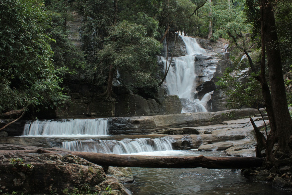 Vazhvanthol Waterfalls  Thiruvananthapuram